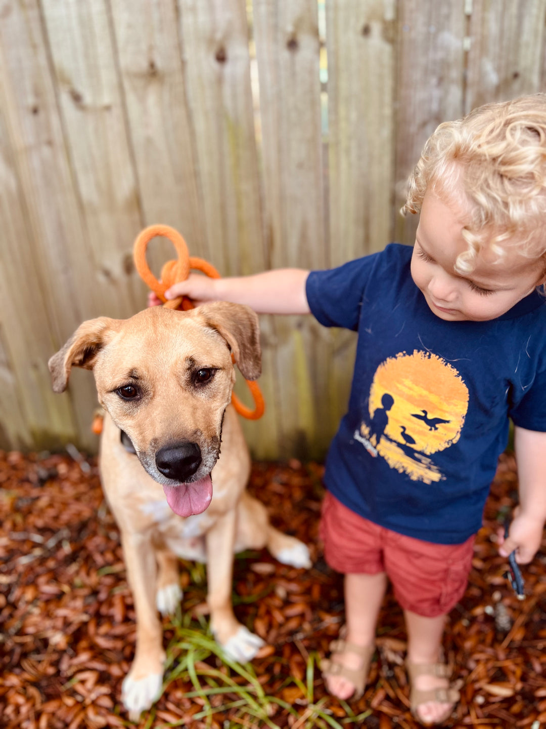 Sunset Gazing - Tee